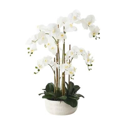 Trojan Artificial Orchid Phalaenopsis in Ceramic Bowl, 83cm