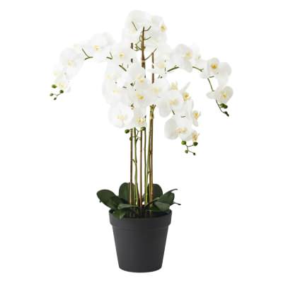 Forestia Potted Artificial Orchid Phalaenopsis, 100cm