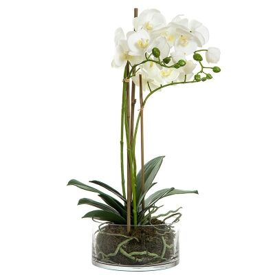 Artificial Orchid in Round Glass Vase, White