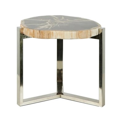 Niagra Petrified Wood & Metal Side Table
