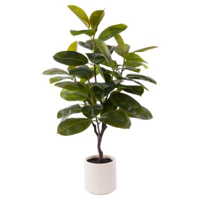 Rogue Artificial Rubber Tree in Ceramic Pot, 115cm