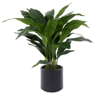 Rogue Cast Artificial Iron Plant in Pot, 90cm