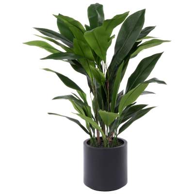 Rogue Cast Artificial Iron Plant in Pot, 120cm