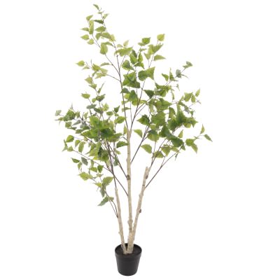Rogue Potted Artificial Silver Birch Tree, 155cm