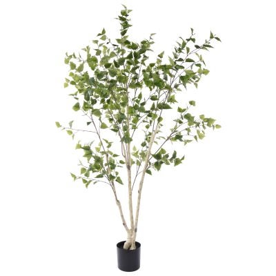 Rogue Potted Artificial Silver Birch Tree, 208cm