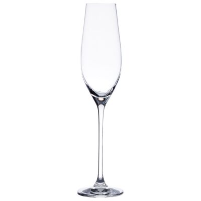 Noritake Bel Vino Champagne Glass, Set of 4