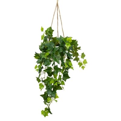 Glamorous Fusion Artificial English Ivy in Hanging Pot, 98cm