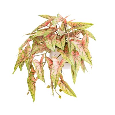 Lashawn Potted Artificial Syngonium Bush, 30cm, Red Variegated