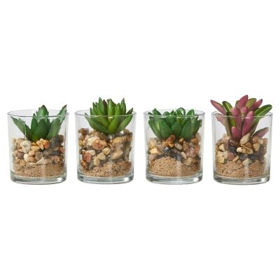 Set of 4 Assorted Faux Succulent Plants, Small
