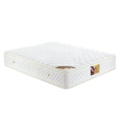 Stardust IC688 Double-sided Euro Top Coil Spring Medium-to-Firm Mattress, Double