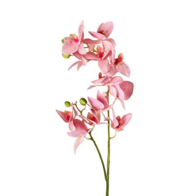 JMC Artificial Orchid Spray, 75cm, Pink Flower