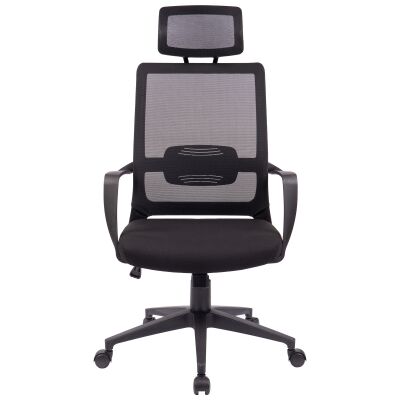 Toggen Mesh Fabric Ergonomic Office Chair