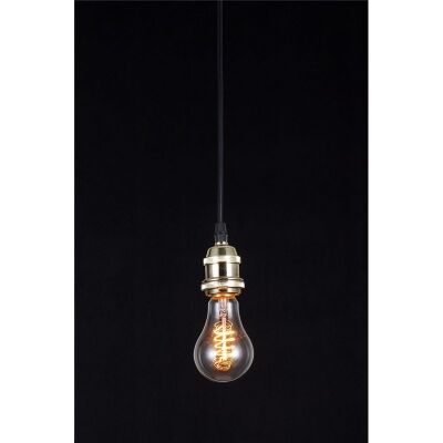Edison Style Light Bulb with Brass Fitting