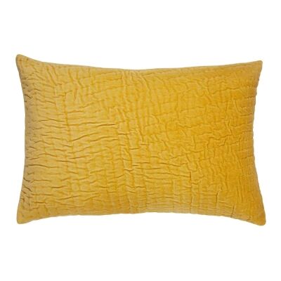Nakur Velvet Lumbar Cushion
