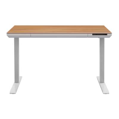 Flexrise Electric Standing Desk, 120cm