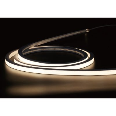 Cam IP67 Indoor & Outdoor LED Neon Strip Light, 5m, 4000K