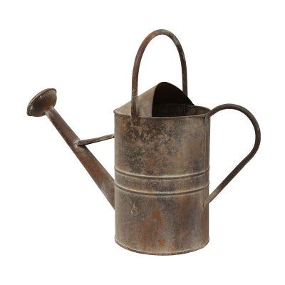 Jardin Metal Watering Can
