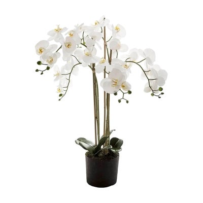 Myall Artificial Orchid in Paper Mache Pot, 90cm