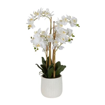 Real Touch Artificial Orchid in Ceramic Pot, 70cm