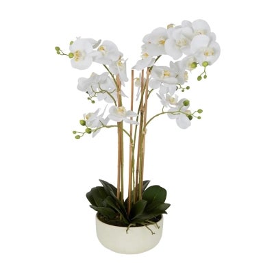 Fowler Potted Real Touch Artificial Orchid, 71cm