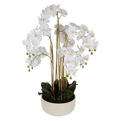 Real Touch Artificial Orchid in Ceramic Bowl, 100cm