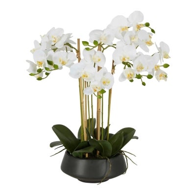 Britton Artificial Orchid in Pot, 51cm, Black Pot