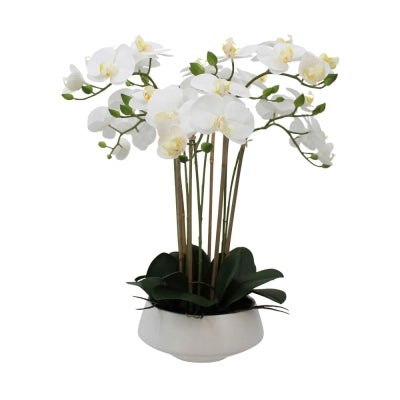Britton Artificial Orchid in Pot, 51cm, White Pot
