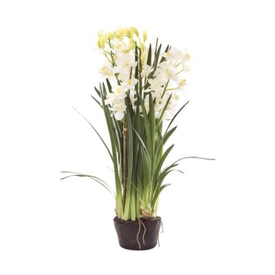 Tonya Artificial Cymbidium Orchid in Paper Pot, White