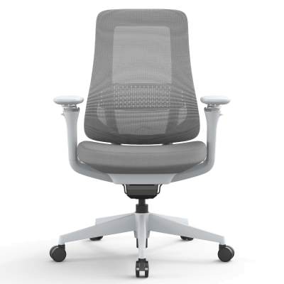 Leventro Mesh Fabric Ergonomic Office Chair, Light Grey