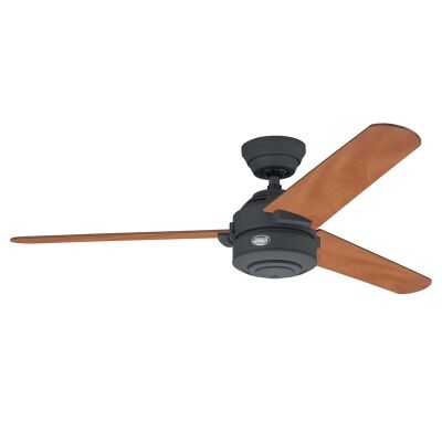 Hunter Carera Graphite Ceiling Fan with Chestnut / Graphite Switch Blades