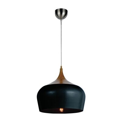Polk Metal Pendant Light, Medium, Black / Oak