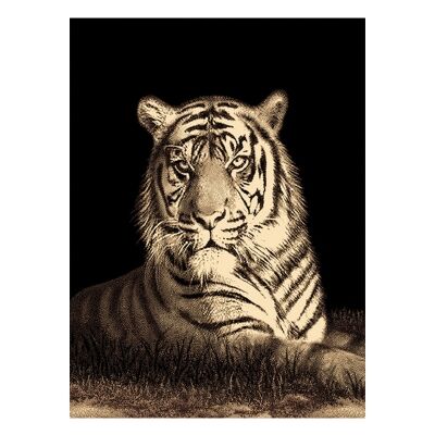 Legacy Tiger Modern Rug/Wall Art, 120x170cm