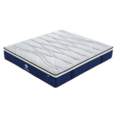 Star Bedding S-300 Boxed Euro Top Pocket Spring Medium Mattress, Queen