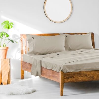 Ardor 1000TC Cotton Rich Bed Sheet Set, Single, Stone
