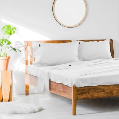 Ardor 1000TC Cotton Rich Bed Sheet Set, Single, White