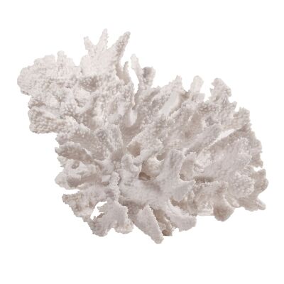 Wallace Coral Sculpture, Large