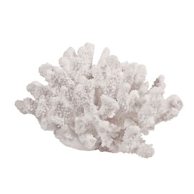 Wallace Coral Sculpture, Small