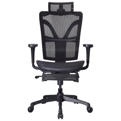 Hudswell Mesh Fabric Ergonomic Executive Office Chair with Telescopic Footrest