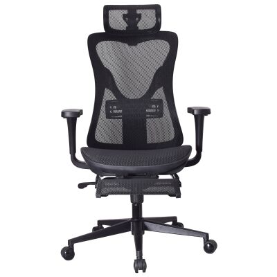 Atley Mesh Fabric Ergonomic Executive Office Chair with Telescopic Footrest
