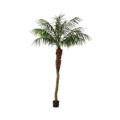 Potted Artificial Phoenix Palm Tree, 210cm