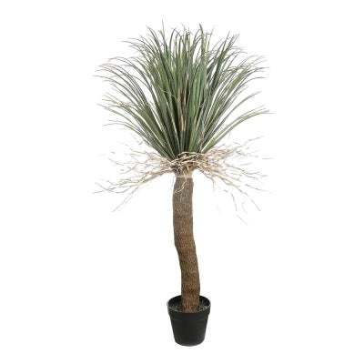 Potted Artificial Grass Tree, 200cm