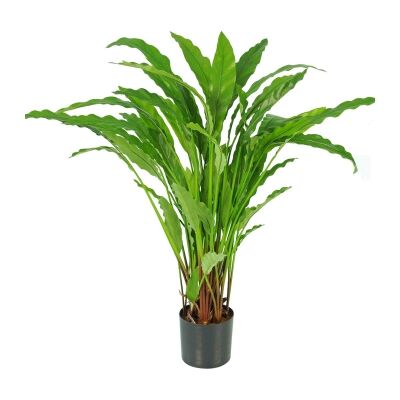 Potted Artificial Calathea Bluegrass Plant, 82cm