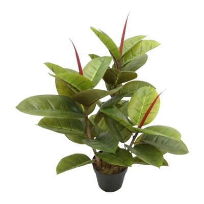 Potted Artificial Rubber Tree, 80cm