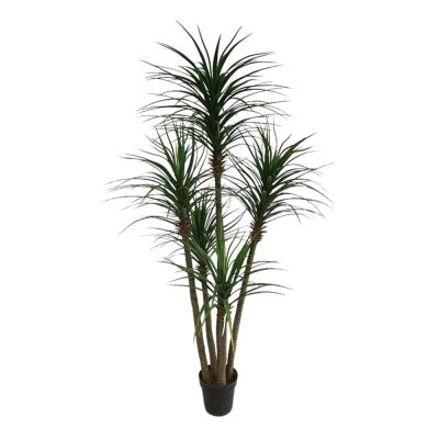 Potted Artificial Yucca Tree, 180cm