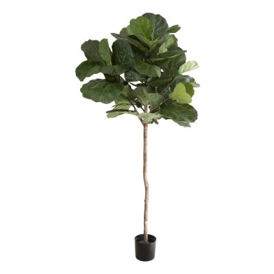 Potted Artificial Fiddle Leaf Fig Tree, 215cm