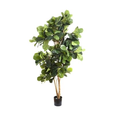 Potted Artificial Fiddle Leaf Fig Tree, Type A, 200cm