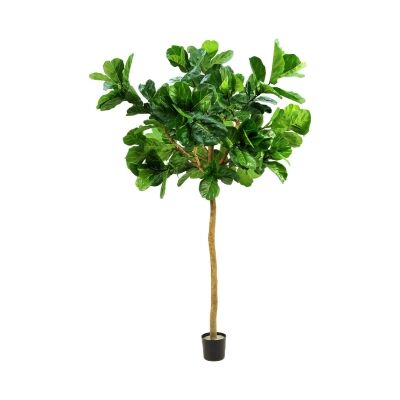 Potted Artificial Fiddle Leaf Tree, 320cm
