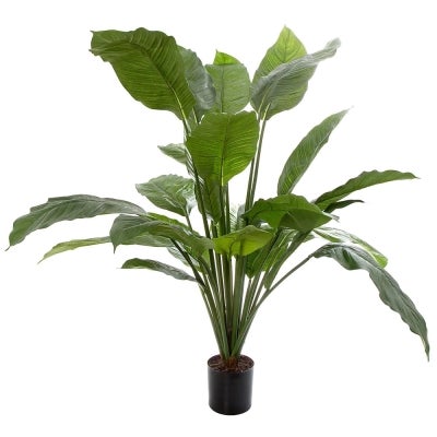 Potted Artificial Spathiphyllum, 100cm