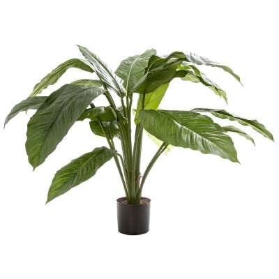 Potted Artificial Spathiphyllum, 66cm