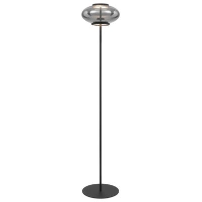 Tequo Iron & Glass Dimmable LED Floor Lamp